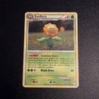 Sunflora