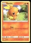 Torchic