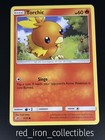 Torchic