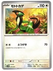 Charizard V