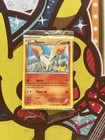 Ponyta