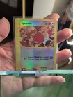 Spearow