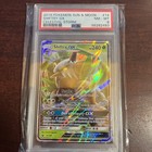 Shiftry GX