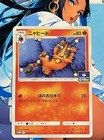 Torracat 