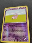 Slowpoke