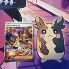 Acerola's Mischief