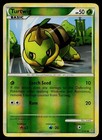 Turtwig