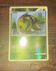 Turtwig