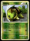 Turtwig