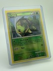 Turtwig