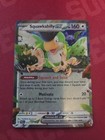 Squawkabilly ex