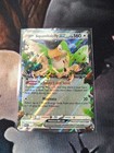 Squawkabilly ex
