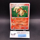Arcanine