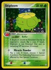 Skiploom