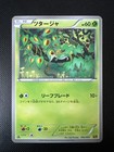 Snivy