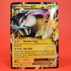 Raikou EX