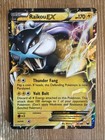 Raikou EX