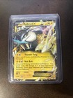 Raikou EX
