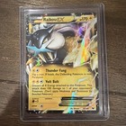 Raikou EX