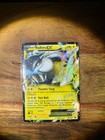Raikou EX