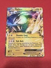 Raikou EX