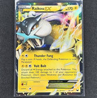 Raikou EX