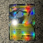 Raikou EX