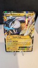 Raikou EX