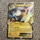 Raikou EX