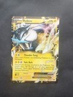 Raikou EX