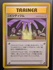 Pewter City Gym