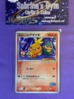 Pokepark's Torchic 