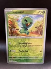 Capsakid