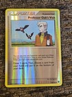 Professor Oak's Visit