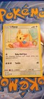 Lillipup