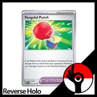 Vengeful Punch