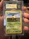 Turtwig