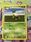 Turtwig