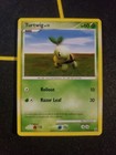 Turtwig