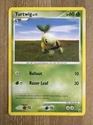 Turtwig