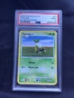 Turtwig