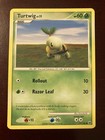 Turtwig