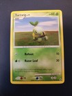 Turtwig