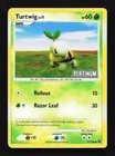 Turtwig