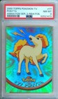 Ponyta