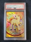 Ponyta