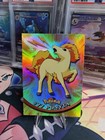 Ponyta