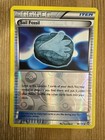 Sail Fossil