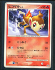 Chimchar 