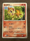 Chimchar 
